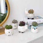 Succulent Pot Factory - Ceramic Garden Pot with Drainage