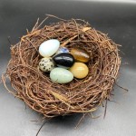 Educational Toy Manufacturer - Stone Bird Eggs Kids Toy