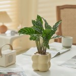 Ceramic Planter Manufacturer - Cream Wind Four Grid