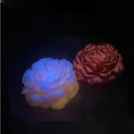 Aromatherapy Candle Manufacturer - Glow Dark Peony Flower