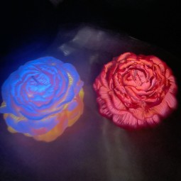 Aromatherapy Candle Manufacturer - Glow Dark Peony Flower