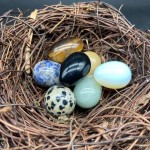 Educational Toy Manufacturer - Stone Bird Eggs Kids Toy