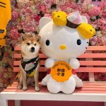 Fiberglass Sculpture Factory - Cartoon Cat Mall Decoration