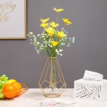 Scandinavian Decor Manufacturer - Iron Geometric Vase Holder