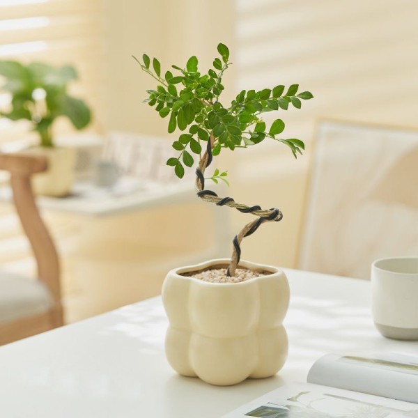 Ceramic Planter Manufacturer - Cream Wind Four Grid