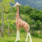 Outdoor Sculpture Factory - Life Size Giraffe Garden Ornament