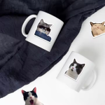 Cat Sticker Factory - 50PCS Vinyl Waterproof Decals