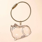 Pet Hair Container Factory - Acrylic Fur Storage Keychain