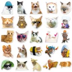 Cat Sticker Factory - 50PCS Vinyl Waterproof Decals