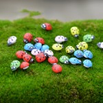 Animal Figures Manufacturer - OEM Custom Ladybug Garden Set