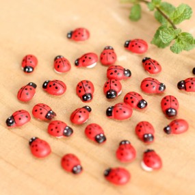 Animal Figures Manufacturer - OEM Custom Ladybug Garden Set