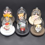 Display Cloche Factory - Glass Dome with Wood Base