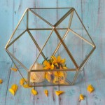 Flower Vase Manufacturer - Classical Square Glass Vase