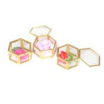 Ring Box Factory - Hexagon Glass Jewelry Package
