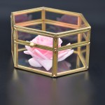 Jewelry Box Factory - Large Vintage Glass Display Box
