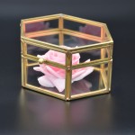 Jewelry Box Factory - Large Vintage Glass Display Box