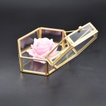 Jewelry Box Factory - Large Vintage Glass Display Box