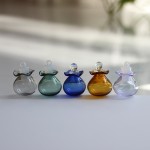 Terrarium Manufacturer - Hanging Glass Bottle Planter