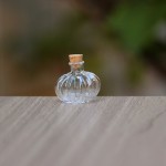 Aquarium Bowl Factory - Marimo Moss Ecosphere Bowl