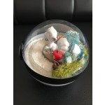 Flower Pot Factory - Brass Metal Terrarium Planter