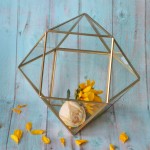 Flower Vase Manufacturer - Classical Square Glass Vase