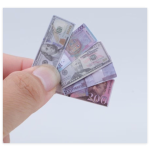 Play Money Manufacturer - Realistic Banknote Dollhouse Set