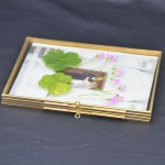 Desktop Frame Manufacturer - Gold Glass Picture Frame