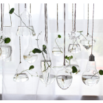 Hanging Globe Manufacturer - Round Glass Terrarium Ball