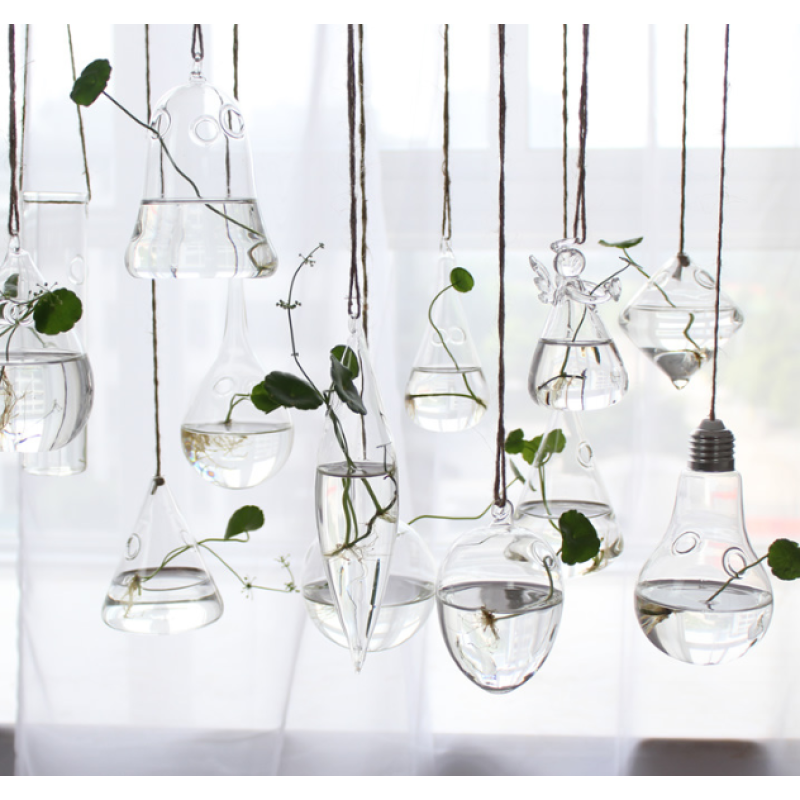 Hanging Globe Manufacturer - Round Glass Terrarium Ball