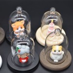 Display Cloche Factory - Glass Dome with Wood Base