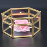 Jewelry Box Factory - Large Vintage Glass Display Box