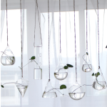 Hanging Globe Manufacturer - Round Glass Terrarium Ball
