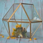 Flower Vase Manufacturer - Classical Square Glass Vase