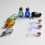 Terrarium Manufacturer - Hanging Glass Bottle Planter