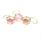 Ring Box Factory - Hexagon Glass Jewelry Package