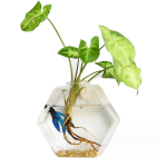 Terrarium Factory - Geometric Hanging Glass Planter