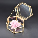 Jewelry Box Factory - Large Vintage Glass Display Box