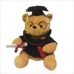 Graduation Bear Supplier - OEM Custom University Gift