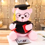 Graduation Bear Supplier - OEM Custom University Gift