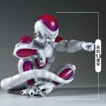 Frieza Manufacturer - OEM Custom Sitting Position