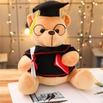 Graduation Bear Supplier - OEM Custom University Gift