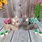 Highland Cow Planter Manufacturer - Yak Succulent Pot Decor