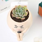 Toilet Planter Factory - Cute Face Succulent Pot Novelty