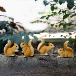 Squirrel Decor Manufacturer - Animal Miniature Landscape