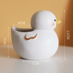 Ceramic Planter Manufacturer - Duck Succulent Pot Novelty Gift