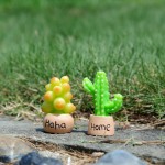 Fairy Garden Factory - Creative Cactus Mini Garden Ornament