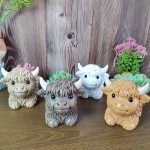 Highland Cow Planter Manufacturer - Yak Succulent Pot Decor