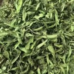 Whole Dried Stevia Leaves 100% Pure Tian Ye Ju High Quality Dried Stevia Leaf for Tea