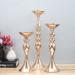 Candle Holder Supplier - Dual-Use Gold Metal Lantern for Flower Arrangement