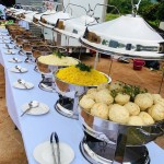 Chafing Dish Manufacturer - 9L Luxury Gold Buffet Server with Hanging Lid